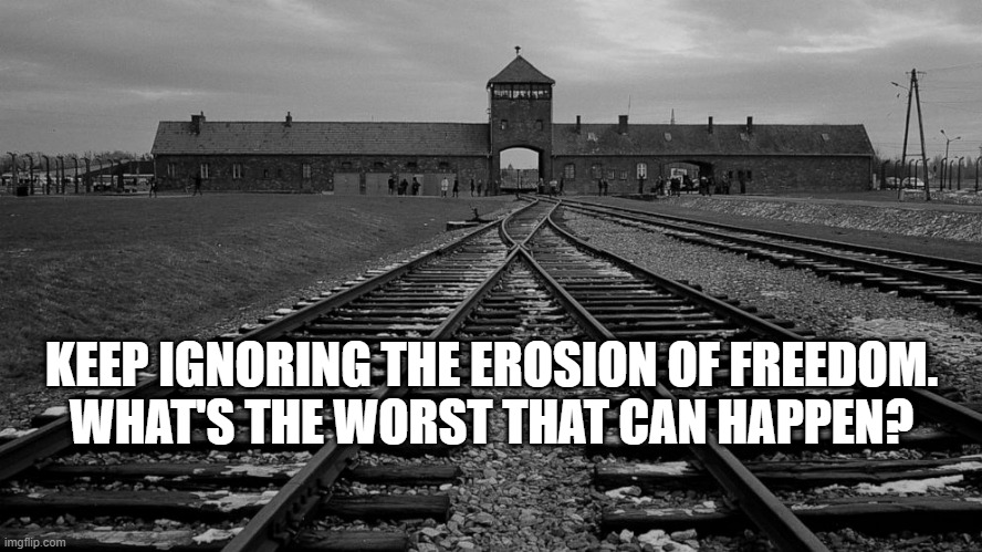 Erosion of Freedom | KEEP IGNORING THE EROSION OF FREEDOM.
WHAT'S THE WORST THAT CAN HAPPEN? | image tagged in auschwitz,usa,constitution,democrat | made w/ Imgflip meme maker