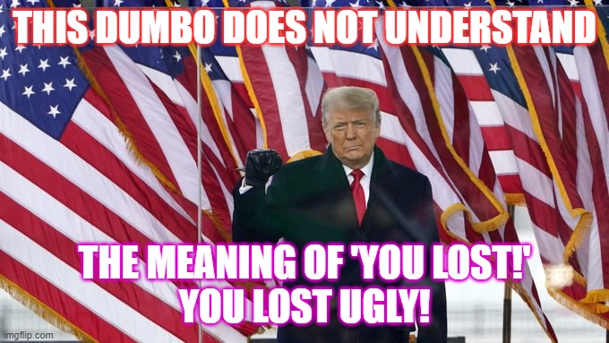 tRUMP | THIS DUMBO DOES NOT UNDERSTAND; THE MEANING OF 'YOU LOST!'
YOU LOST UGLY! | image tagged in loser | made w/ Imgflip meme maker