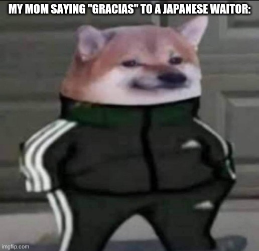 Slav doge | MY MOM SAYING "GRACIAS" TO A JAPANESE WAITOR: | image tagged in slav doge | made w/ Imgflip meme maker