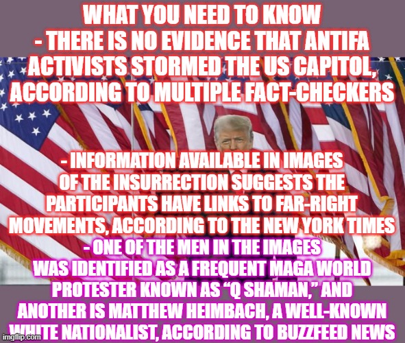 CAPITAL STORMIES | WHAT YOU NEED TO KNOW
- THERE IS NO EVIDENCE THAT ANTIFA ACTIVISTS STORMED THE US CAPITOL, ACCORDING TO MULTIPLE FACT-CHECKERS; - INFORMATION AVAILABLE IN IMAGES OF THE INSURRECTION SUGGESTS THE PARTICIPANTS HAVE LINKS TO FAR-RIGHT MOVEMENTS, ACCORDING TO THE NEW YORK TIMES; - ONE OF THE MEN IN THE IMAGES WAS IDENTIFIED AS A FREQUENT MAGA WORLD PROTESTER KNOWN AS “Q SHAMAN,” AND ANOTHER IS MATTHEW HEIMBACH, A WELL-KNOWN WHITE NATIONALIST, ACCORDING TO BUZZFEED NEWS | image tagged in y u no | made w/ Imgflip meme maker
