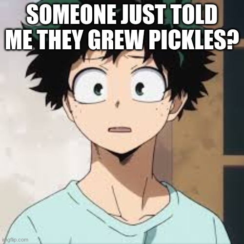 cuz pickles aren't grown? you put em in vinegar or sum | SOMEONE JUST TOLD ME THEY GREW PICKLES? | image tagged in deku what | made w/ Imgflip meme maker