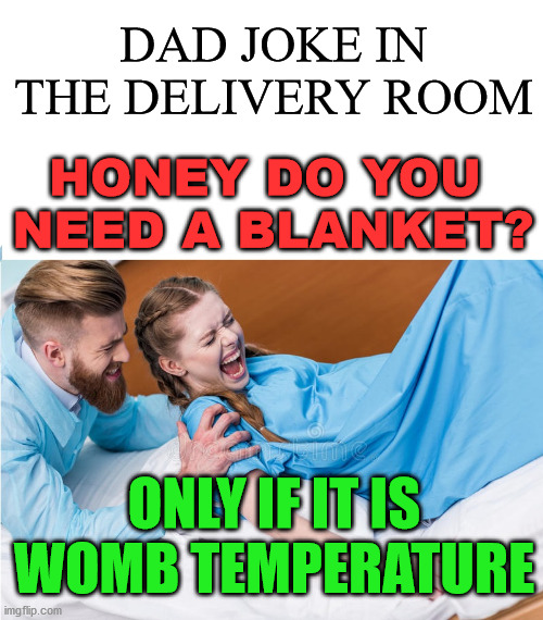 I speak from experience, woman don't care for jokes when they are in labor. | DAD JOKE IN THE DELIVERY ROOM; HONEY DO YOU 
NEED A BLANKET? ONLY IF IT IS WOMB TEMPERATURE | image tagged in stuff women giving birth,pregnant,eyeroll | made w/ Imgflip meme maker