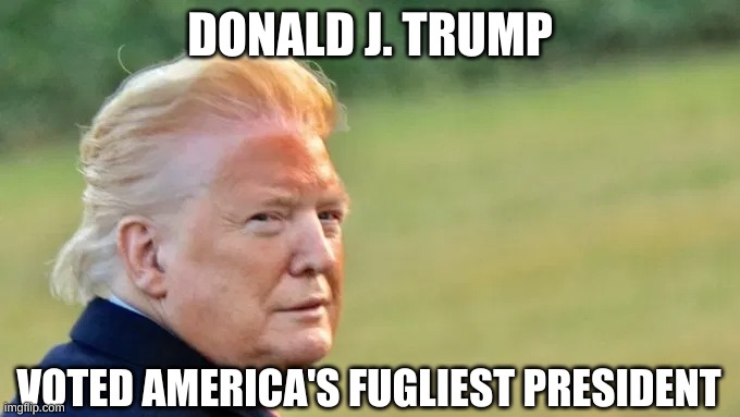 Trump Fugly  Fugliest President | DONALD J. TRUMP; VOTED AMERICA'S FUGLIEST PRESIDENT | image tagged in trump orange face fugly,orange face,trump,fugly,ugly,fake tan | made w/ Imgflip meme maker