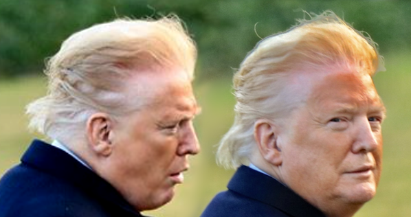 High Quality Trump Orangeface orange face fugly Blank Meme Template