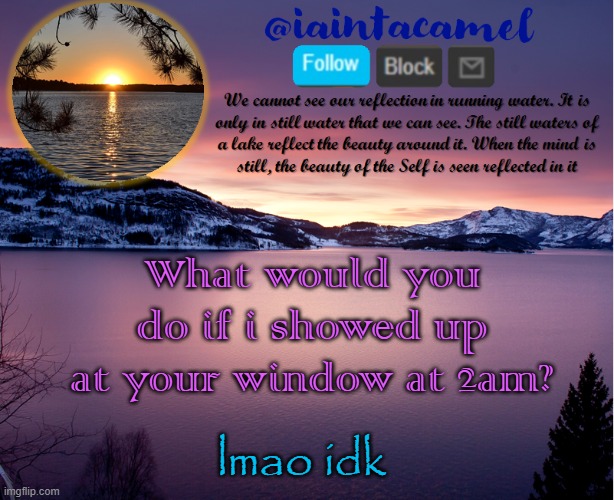 would you let me in? Give me food? yell at me? Make me go home? Yeet a rock at me? | What would you do if i showed up at your window at 2am? lmao idk | image tagged in iaintacamel | made w/ Imgflip meme maker