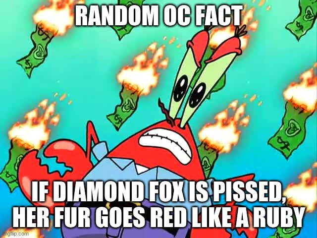 Pissed off Mr Krabs | RANDOM OC FACT; IF DIAMOND FOX IS PISSED, HER FUR GOES RED LIKE A RUBY | image tagged in pissed off mr krabs | made w/ Imgflip meme maker