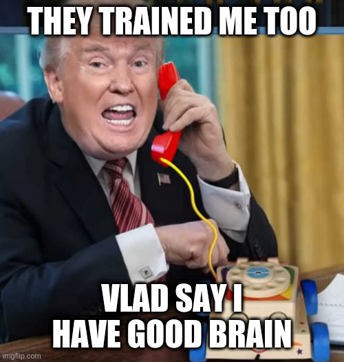 vlad can say anything with a strait face | THEY TRAINED ME TOO VLAD SAY I HAVE GOOD BRAIN | image tagged in i'm the president,rumpt | made w/ Imgflip meme maker