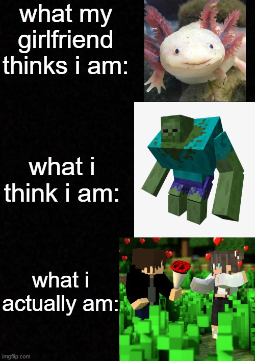 am i the only one who feels this way | what my girlfriend thinks i am:; what i think i am:; what i actually am: | image tagged in blank | made w/ Imgflip meme maker