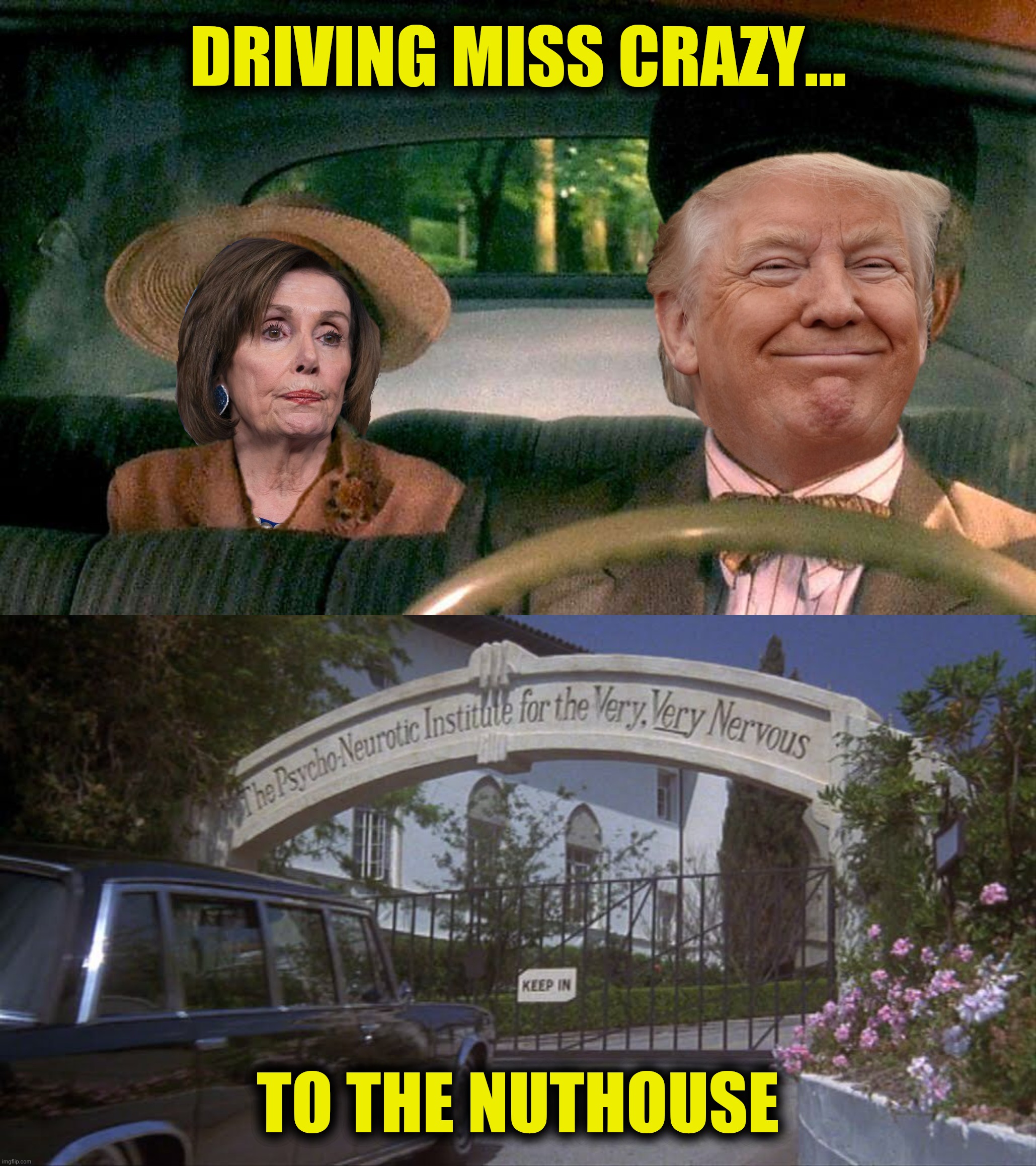 DRIVING MISS CRAZY... TO THE NUTHOUSE | made w/ Imgflip meme maker