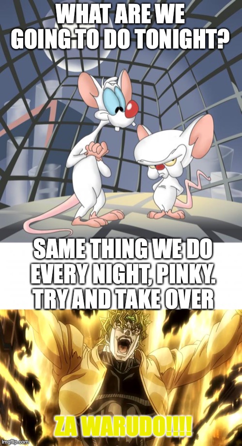 I had to. I don't know why, but I had to. | WHAT ARE WE GOING TO DO TONIGHT? SAME THING WE DO EVERY NIGHT, PINKY. TRY AND TAKE OVER; ZA WARUDO!!!! | image tagged in pinky and the brain,za warudo,just why,cringe worthy,wheeze | made w/ Imgflip meme maker