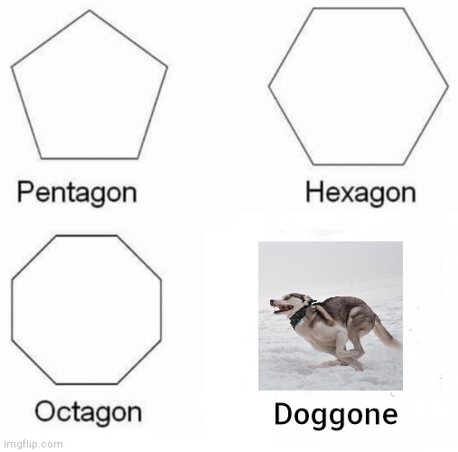 Pentagon Hexagon Octagon | Doggone | image tagged in memes,pentagon hexagon octagon | made w/ Imgflip meme maker