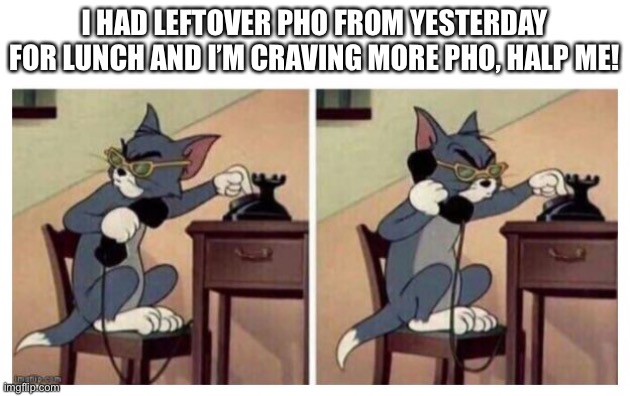Why am I even posting this? | I HAD LEFTOVER PHO FROM YESTERDAY FOR LUNCH AND I’M CRAVING MORE PHO, HALP ME! | image tagged in tom phone meme | made w/ Imgflip meme maker