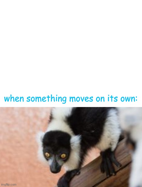 I am officially moving out | when something moves on its own: | image tagged in funny,memes,meme,ghost,hell naw,hell nah | made w/ Imgflip meme maker