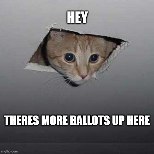 Ceiling Cat Meme |  HEY; THERES MORE BALLOTS UP HERE | image tagged in memes,ceiling cat | made w/ Imgflip meme maker