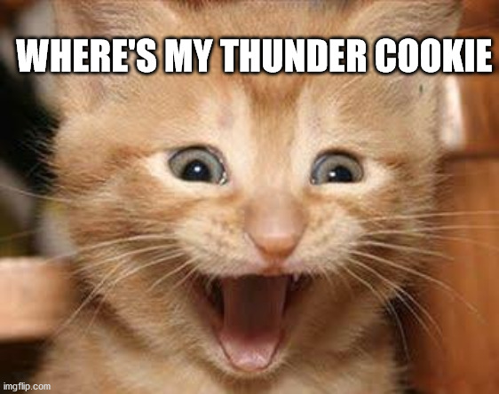 Excited Cat Meme | WHERE'S MY THUNDER COOKIE | image tagged in memes,excited cat | made w/ Imgflip meme maker