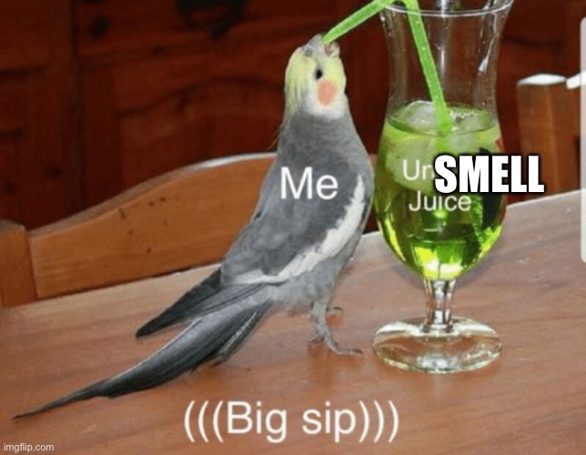 Unsee juice | SMELL | image tagged in unsee juice | made w/ Imgflip meme maker