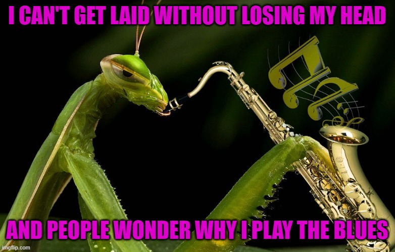 Mantis plays the blues... | I CAN'T GET LAID WITHOUT LOSING MY HEAD; AND PEOPLE WONDER WHY I PLAY THE BLUES | image tagged in praying mantis,memes,mantis,playing the blues | made w/ Imgflip meme maker