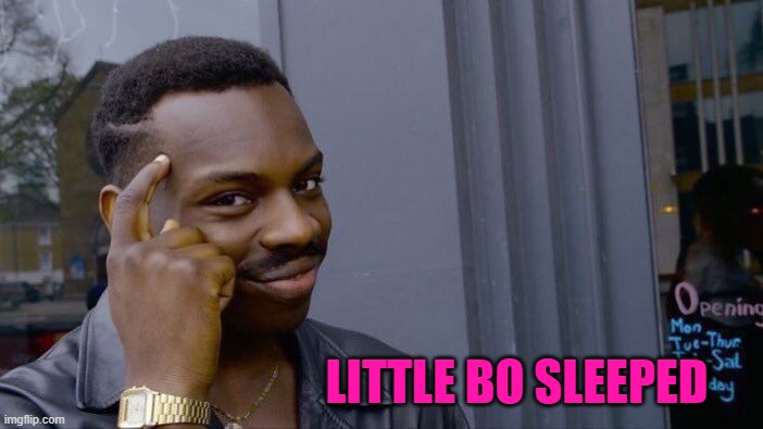 Roll Safe Think About It Meme | LITTLE BO SLEEPED | image tagged in memes,roll safe think about it | made w/ Imgflip meme maker