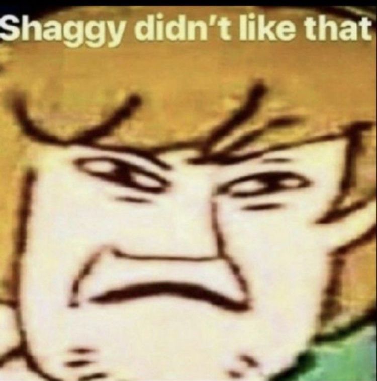 shaggy didn't like that Blank Meme Template