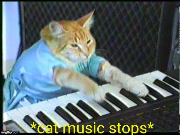 High Quality *cat music stops* Blank Meme Template
