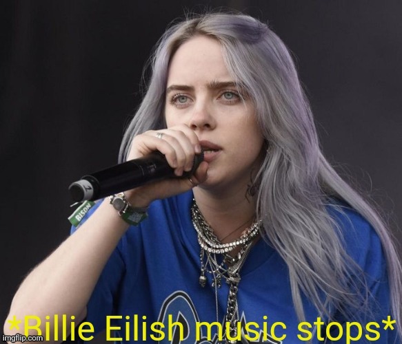 *Billie Eilish music stops* | image tagged in billie eilish music stops | made w/ Imgflip meme maker