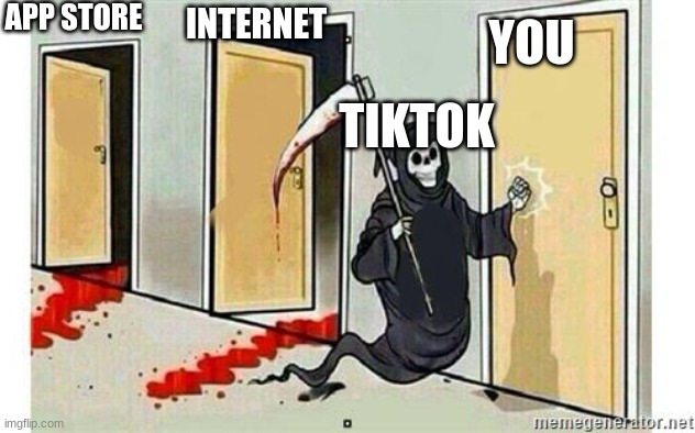 Grim Reaper Knocking Door | TIKTOK APP STORE INTERNET YOU | image tagged in grim reaper knocking door | made w/ Imgflip meme maker