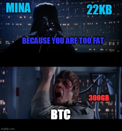 Star Wars No Meme | MINA; 22KB; BECAUSE YOU ARE TOO FAT; 300GB; BTC | image tagged in memes,star wars no | made w/ Imgflip meme maker