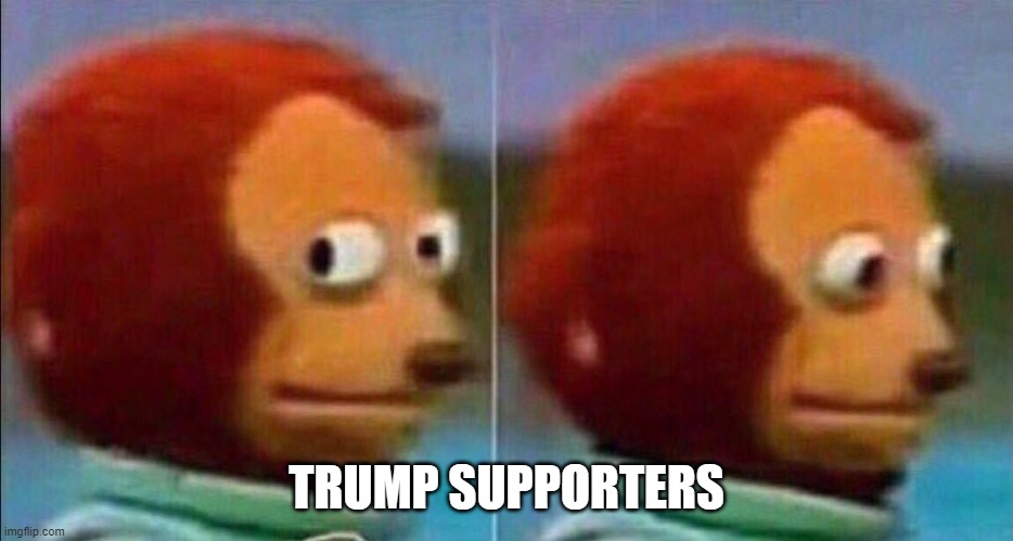 Monkey looking away | TRUMP SUPPORTERS | image tagged in monkey looking away | made w/ Imgflip meme maker