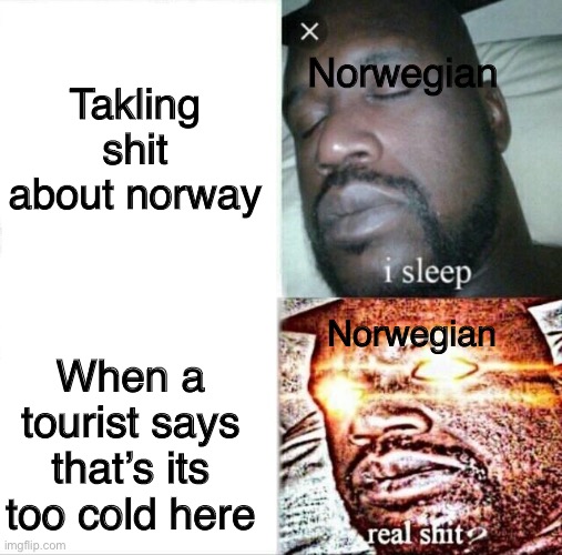 RULE OF NORWAY part 1 | Takling shit about norway; Norwegian; Norwegian; When a tourist says that’s its too cold here | image tagged in memes,sleeping shaq | made w/ Imgflip meme maker
