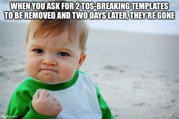 Success Kid Original | WHEN YOU ASK FOR 2 TOS-BREAKING TEMPLATES TO BE REMOVED AND TWO DAYS LATER, THEY’RE GONE | image tagged in memes,success kid original | made w/ Imgflip meme maker