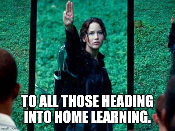 Home learning | TO ALL THOSE HEADING INTO HOME LEARNING. | image tagged in hunger games 2 | made w/ Imgflip meme maker