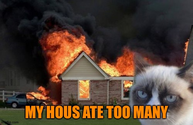 Burn Kitty Meme | MY HOUS ATE TOO MANY | image tagged in memes,burn kitty,grumpy cat | made w/ Imgflip meme maker