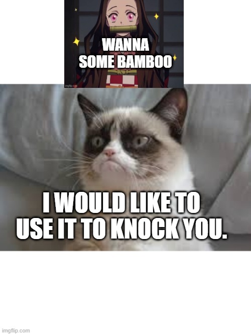 grumpy cat | WANNA SOME BAMBOO; I WOULD LIKE TO USE IT TO KNOCK YOU. | image tagged in grumpy cat | made w/ Imgflip meme maker