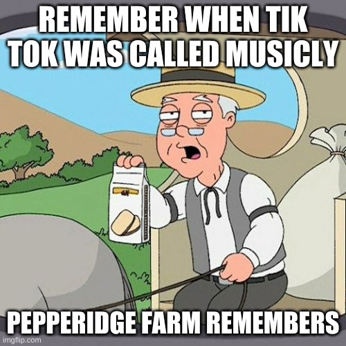 Musicly has turned to Tik Tok | REMEMBER WHEN TIK TOK WAS CALLED MUSICLY; PEPPERIDGE FARM REMEMBERS | image tagged in memes,pepperidge farm remembers | made w/ Imgflip meme maker