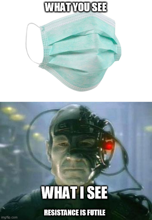 CoVid |  WHAT YOU SEE; WHAT I SEE; RESISTANCE IS FUTILE | image tagged in face mask,the borg | made w/ Imgflip meme maker