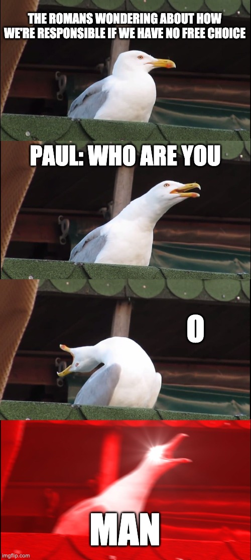 Calvinism explained by Paul. | THE ROMANS WONDERING ABOUT HOW WE'RE RESPONSIBLE IF WE HAVE NO FREE CHOICE; PAUL: WHO ARE YOU; O; MAN | image tagged in memes,inhaling seagull | made w/ Imgflip meme maker