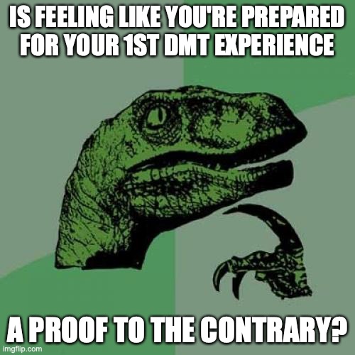 Philosoraptor Meme | IS FEELING LIKE YOU'RE PREPARED
FOR YOUR 1ST DMT EXPERIENCE; A PROOF TO THE CONTRARY? | image tagged in memes,philosoraptor | made w/ Imgflip meme maker