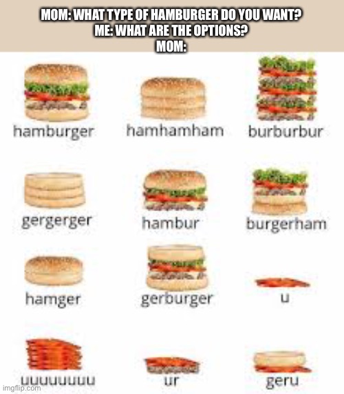 Mom before we eat hamburgers |  MOM: WHAT TYPE OF HAMBURGER DO YOU WANT?
ME: WHAT ARE THE OPTIONS?
MOM: | image tagged in hamburger | made w/ Imgflip meme maker