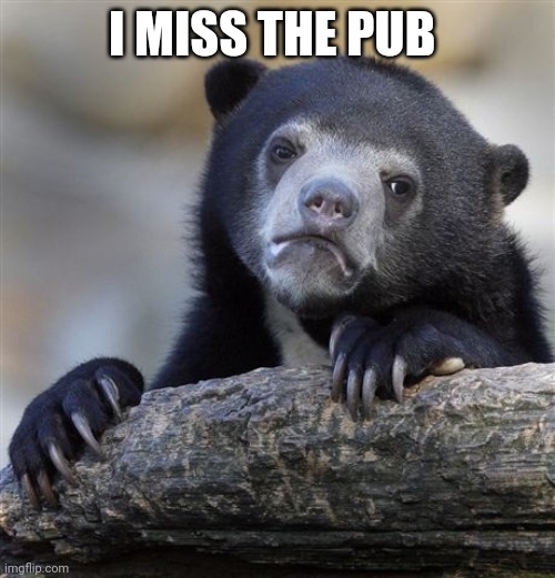 Confession Bear Meme | I MISS THE PUB | image tagged in memes,confession bear,pub,covid-19,coronavirus | made w/ Imgflip meme maker