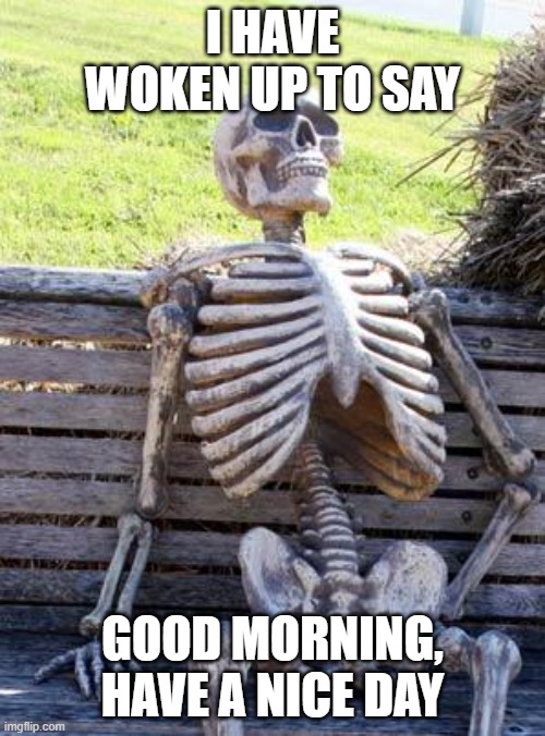 yez | I HAVE WOKEN UP TO SAY; GOOD MORNING, HAVE A NICE DAY | image tagged in memes,waiting skeleton | made w/ Imgflip meme maker