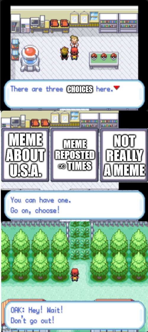 There Are 3 Choices Here | CHOICES; MEME ABOUT U.S.A. MEME REPOSTED ∞ TIMES; NOT REALLY A MEME | image tagged in there are 3 choices here,there are 3 | made w/ Imgflip meme maker