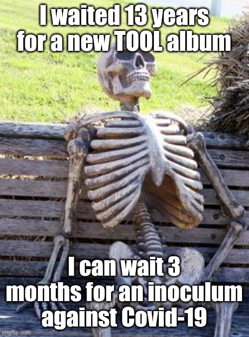 Waiting and Waiting and Waiting | I waited 13 years for a new TOOL album; I can wait 3 months for an inoculum against Covid-19 | image tagged in memes,waiting skeleton,tool,donald trump,coronavirus,vaccination | made w/ Imgflip meme maker