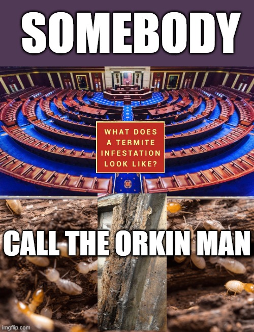 Termite Damage | SOMEBODY; CALL THE ORKIN MAN | image tagged in congress | made w/ Imgflip meme maker