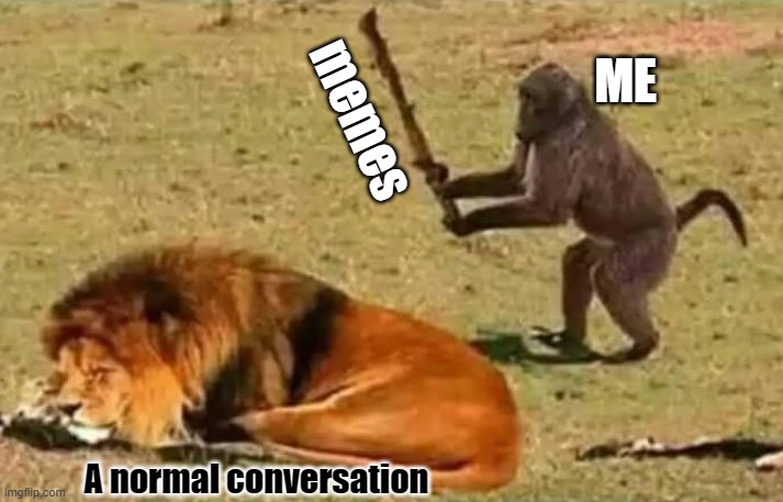 Normal conversation |  ME; memes; A normal conversation | image tagged in drunk monkey,memes | made w/ Imgflip meme maker