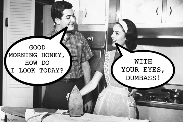 I See | GOOD MORNING HONEY, HOW DO I LOOK TODAY? WITH YOUR EYES, DUMBASS! | image tagged in vintage husband and wife | made w/ Imgflip meme maker