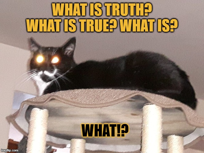 What is true? | WHAT IS TRUTH? WHAT IS TRUE? WHAT IS? WHAT!? | image tagged in truth,perspective,question,live | made w/ Imgflip meme maker