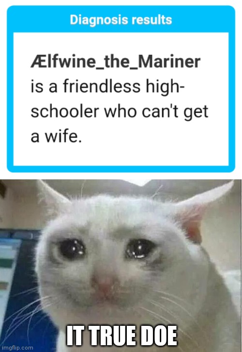 IT TRUE DOE | image tagged in crying cat | made w/ Imgflip meme maker