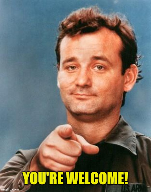 Bill Murray You're Awesome | YOU'RE WELCOME! | image tagged in bill murray you're awesome | made w/ Imgflip meme maker
