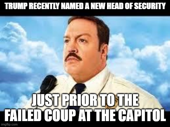 Paul Blart | TRUMP RECENTLY NAMED A NEW HEAD OF SECURITY; JUST PRIOR TO THE FAILED COUP AT THE CAPITOL | image tagged in paul blart | made w/ Imgflip meme maker