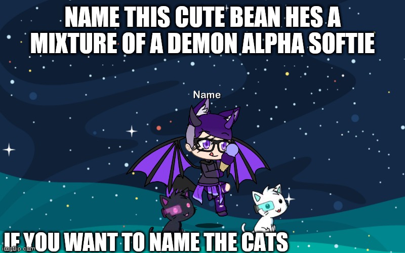 Name | NAME THIS CUTE BEAN HES A MIXTURE OF A DEMON ALPHA SOFTIE; IF YOU WANT TO NAME THE CATS | image tagged in gacha life | made w/ Imgflip meme maker